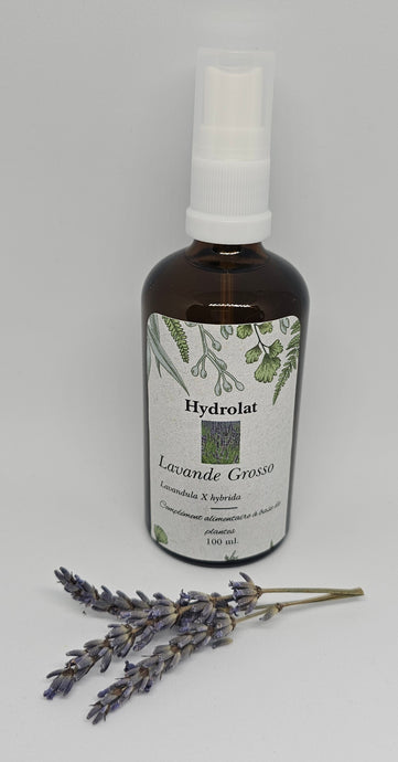 HYDROLAT LAVANDE GROSSO
