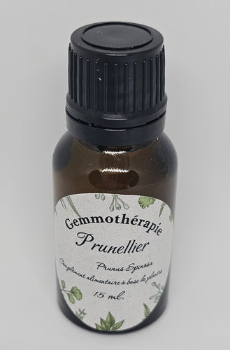 GEMMOTHERAPIE PRUNELLIER