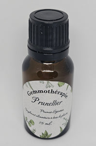 GEMMOTHERAPIE PRUNELLIER