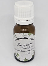 Charger l&#39;image dans la galerie, GEMMOTHERAPIE PIN SYLVESTRE