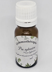 GEMMOTHERAPIE PIN SYLVESTRE