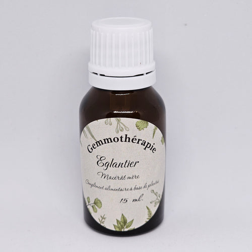 Bourgeons Eglantier/Rose sauvage