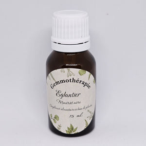 Bourgeons Eglantier/Rose sauvage